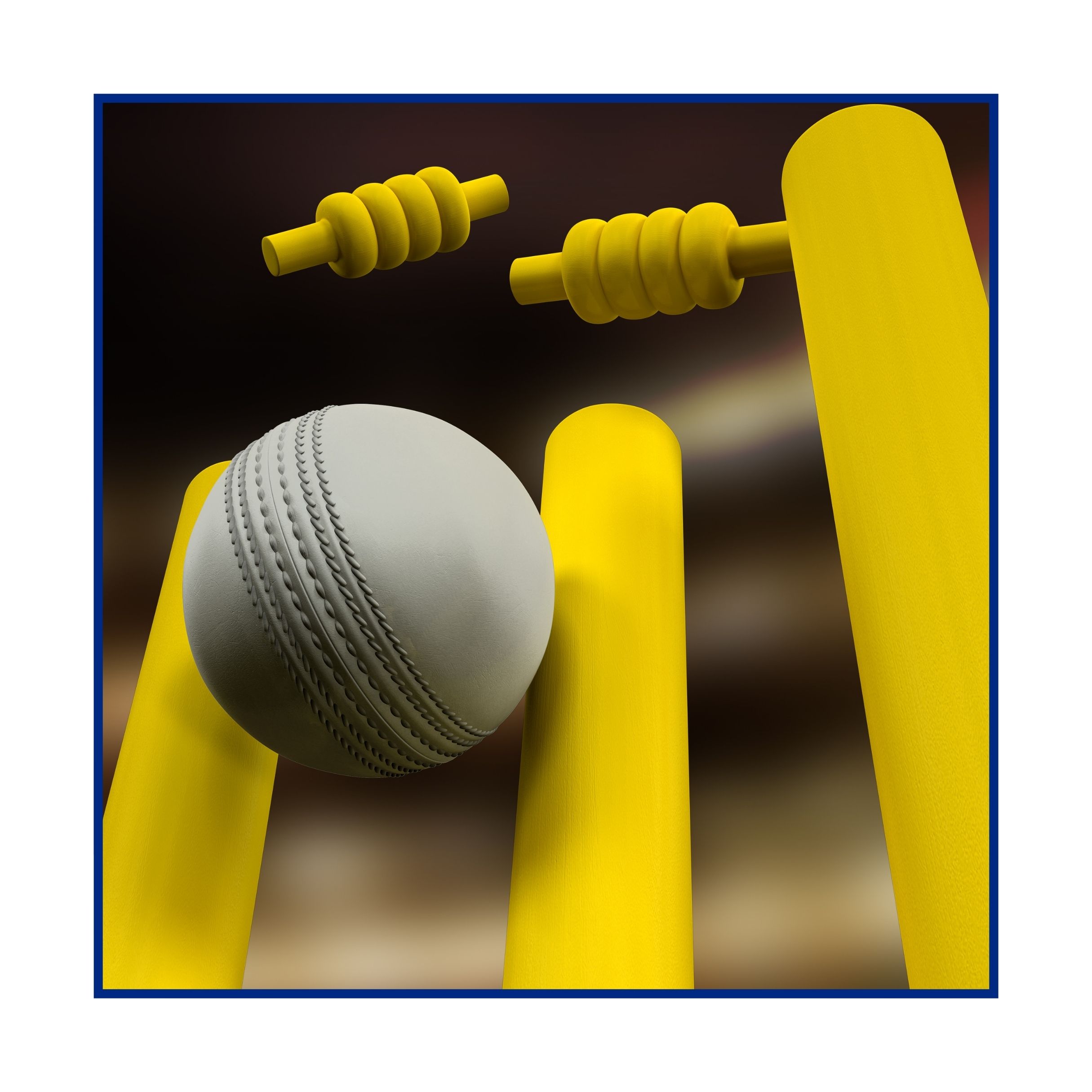 CRICKET at Nahata Sports Complex Pune